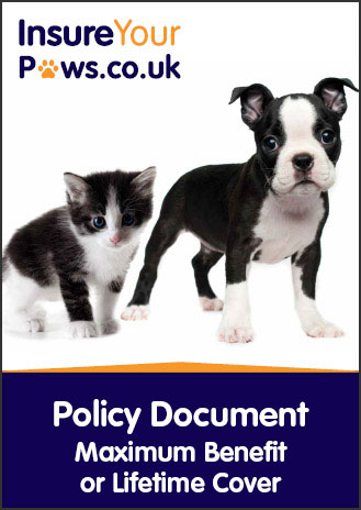 Maximum Benefit Policy Document